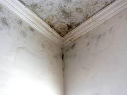 Mold Remediation for Rental Properties in Miamisburg, OH