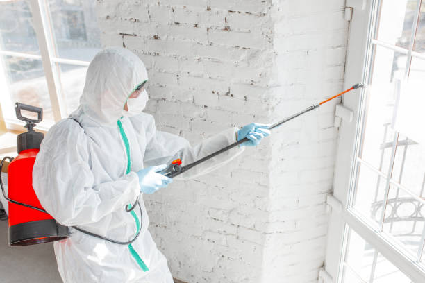 Reliable Miamisburg, OH Mold Inspection Solutions