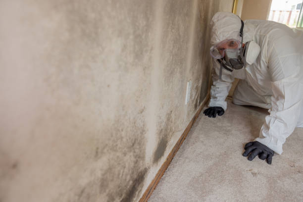 Best Residential Mold Inspection & Testing  in Miamisburg, OH